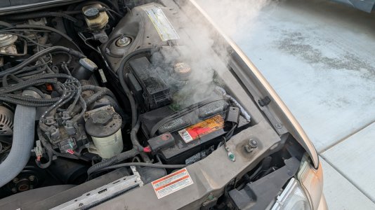 1000003987.jpg 1000003987.jpg