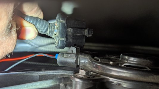 1000003989.jpg 1000003989.jpg