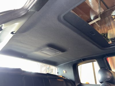 IMG_8528.jpeg IMG_8528.jpeg