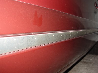 DSC01931.JPG DSC01931.JPG