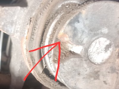 20260321_135833.jpg 20260321_135833.jpg