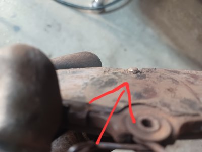 20260321_142401.jpg 20260321_142401.jpg