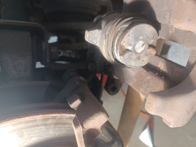 20260321_135849.jpg 20260321_135849.jpg