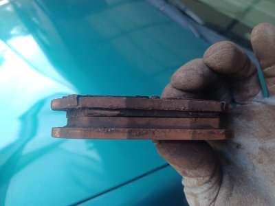 20260321_134321.jpg 20260321_134321.jpg