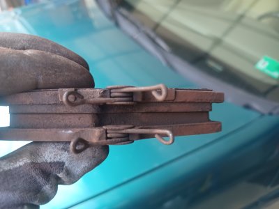 20260321_134312.jpg 20260321_134312.jpg