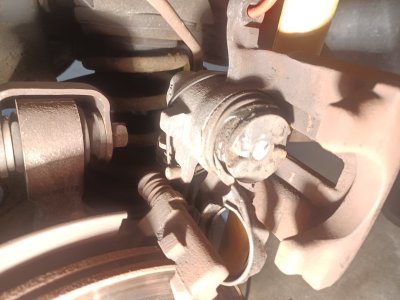 20260321_131519.jpg 20260321_131519.jpg