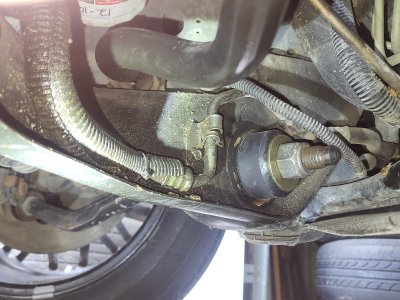 1000012858.jpg 1000012858.jpg