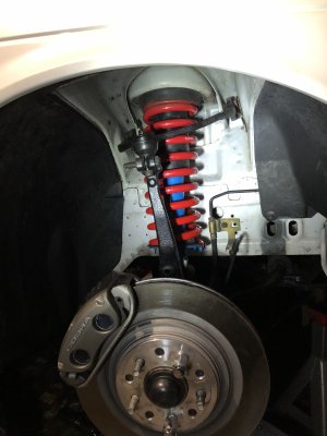 IMG_2961.jpeg IMG_2961.jpeg