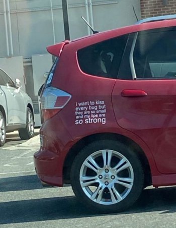 6774223.jpg