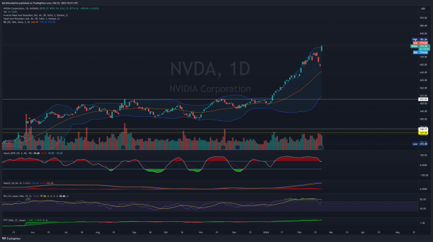 NVDA_2024-02-22_13-41-04.png