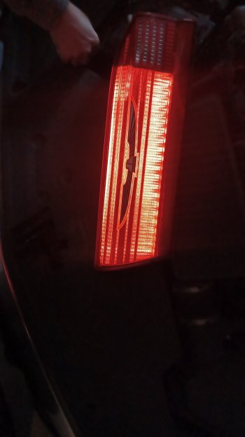 20240404_160124.jpg