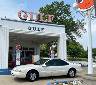 Gulf T-Bird.jpg