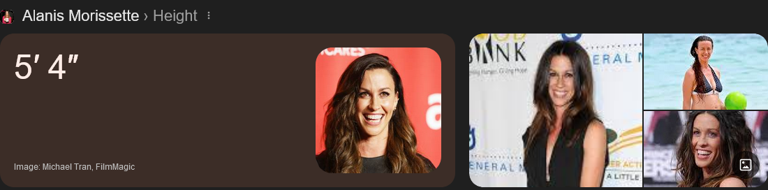 Screenshot 2024-10-27 at 22-33-26 alanis morissette height - Google Search.png